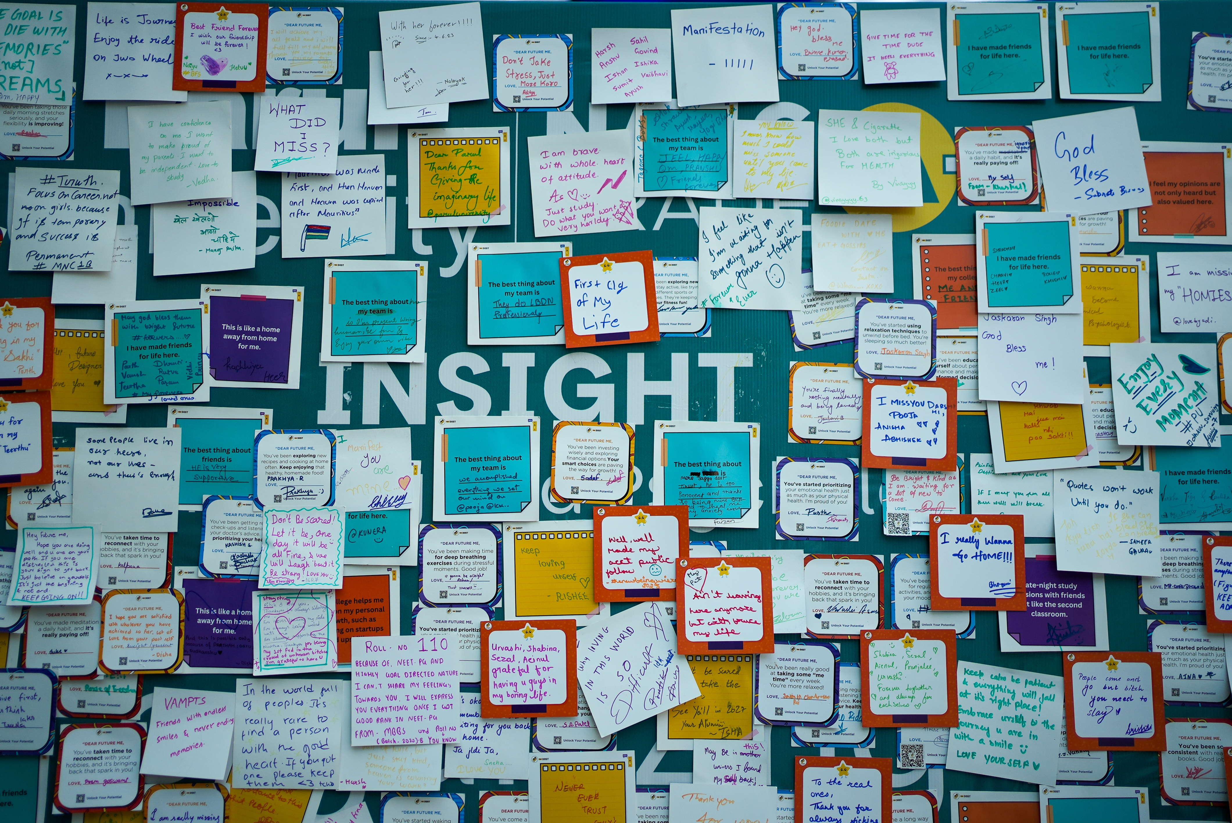 University Insight Insight Cell PU